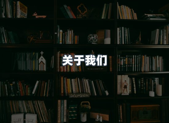 专业团队
